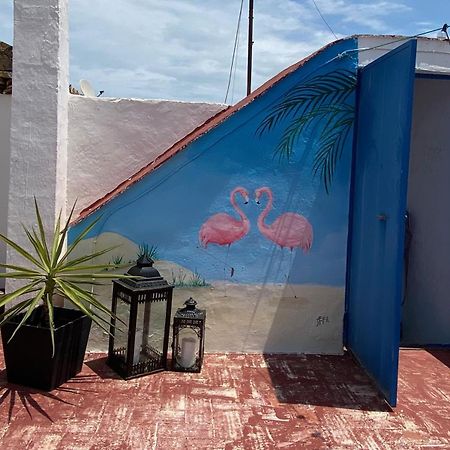 Casa De Los Dos Flamencos Miramar Dış mekan fotoğraf